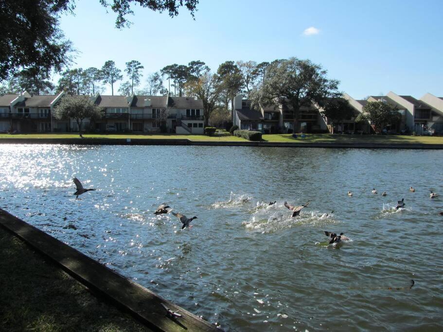 Lakeside Daze! Montgomery Esterno foto