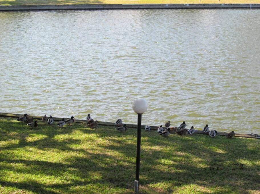 Lakeside Daze! Montgomery Esterno foto