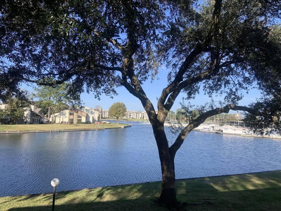 Lakeside Daze! Montgomery Esterno foto